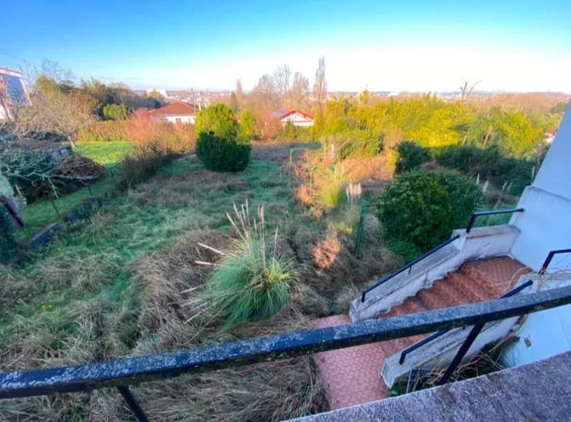 Jardin en friche envahi par les mauvaises herbes avant débroussaillage